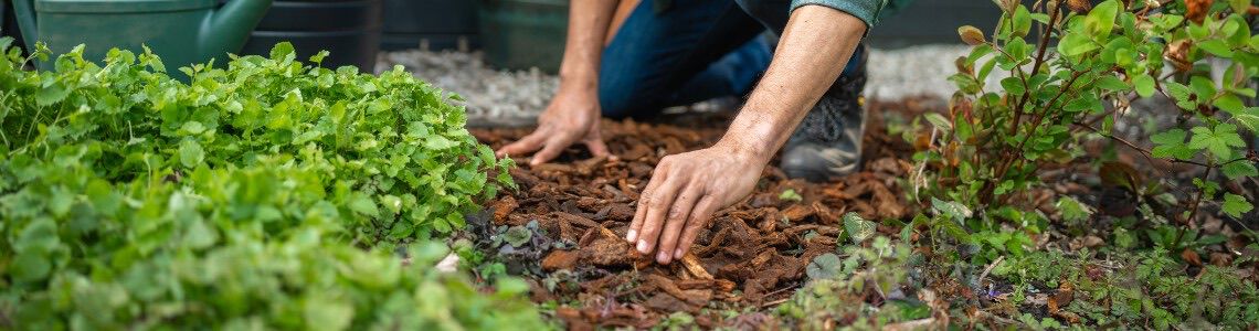 [paste advice page name here]